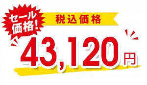 43,120円（税込）