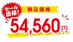 54,560円（税込）