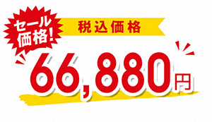 66,880円（税込）