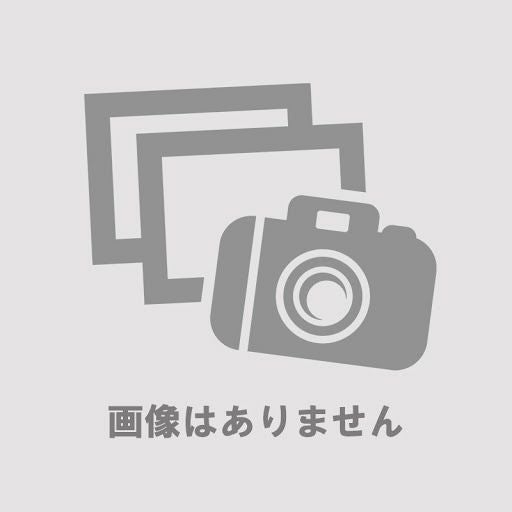 Arai アライ ヘルメット MX-3ネジセット | 《公式》南海部品の通販