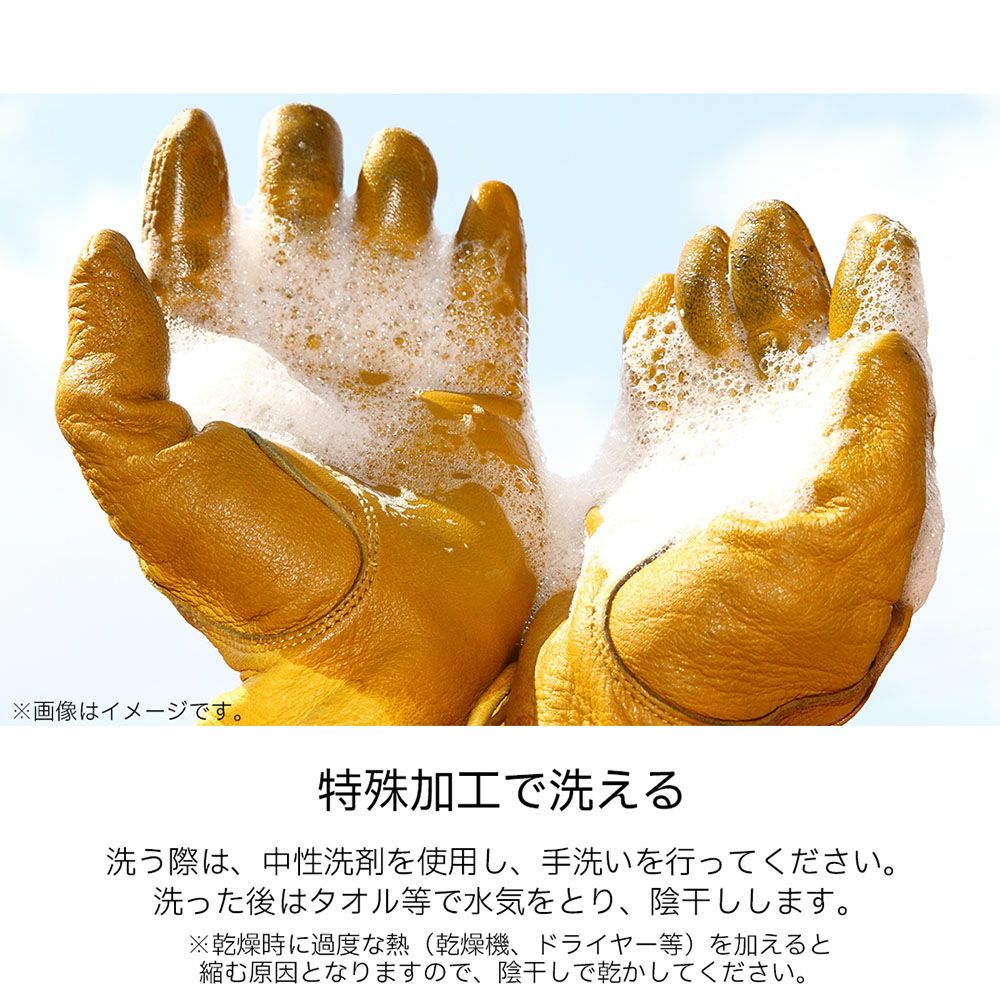 DEGNER デグナー 洗えるレザーグローブ/WASHABLE LEATHER GLOVES [TG