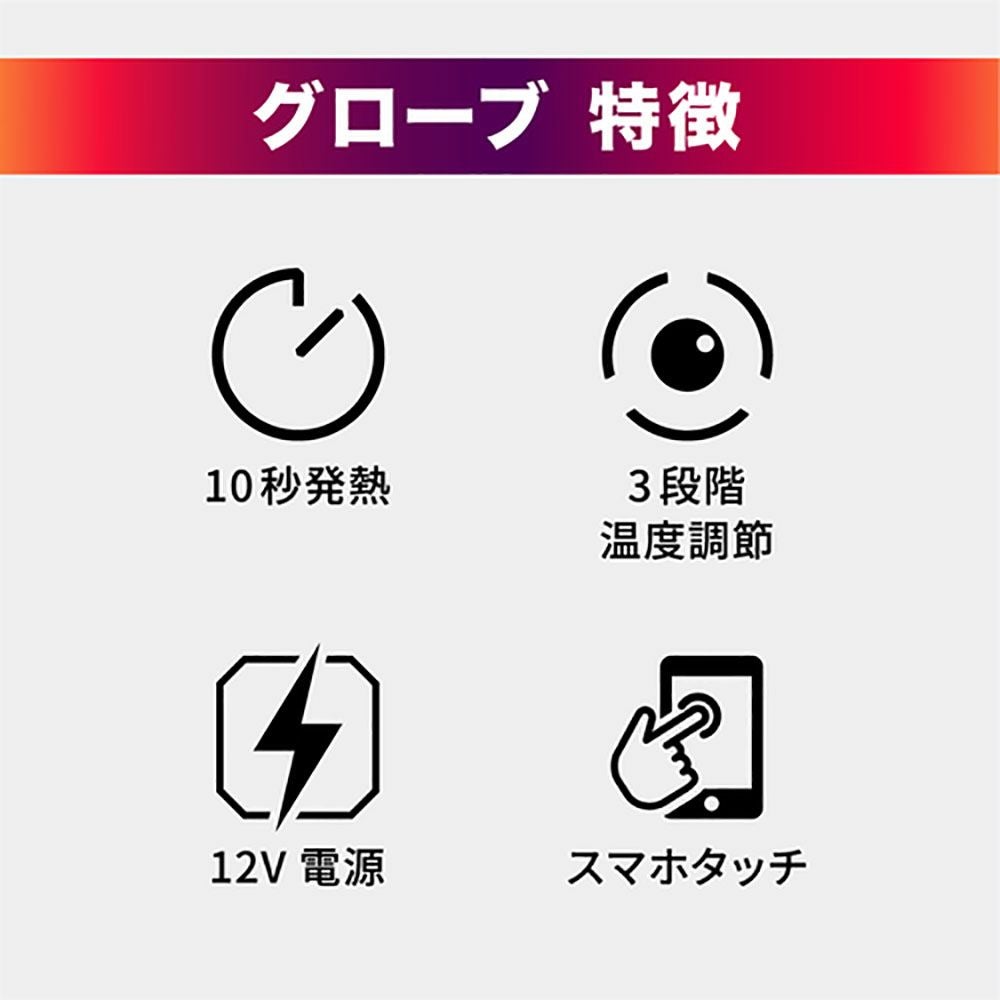 Liberta! リベルタ Heat Master 12VヒートレザーグローブTYPE-1 電熱