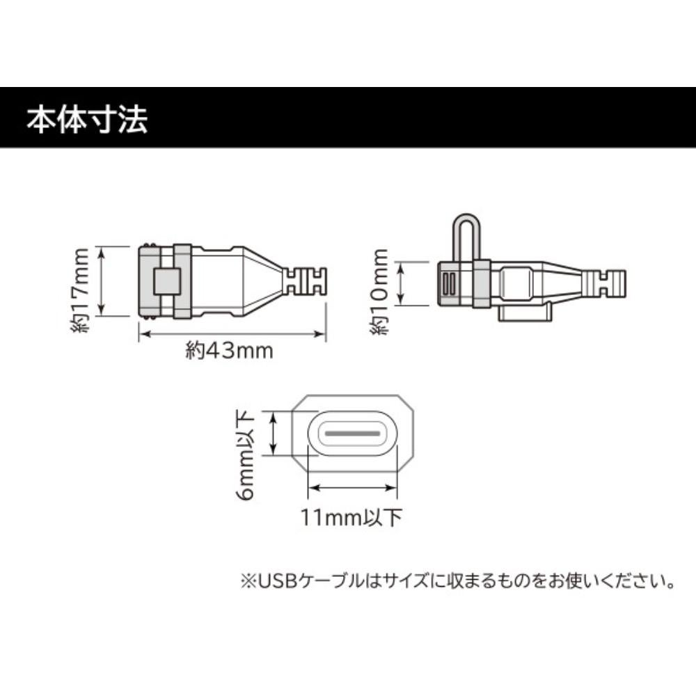 DAYTONAデイトナバイク専用USB電源Type-C